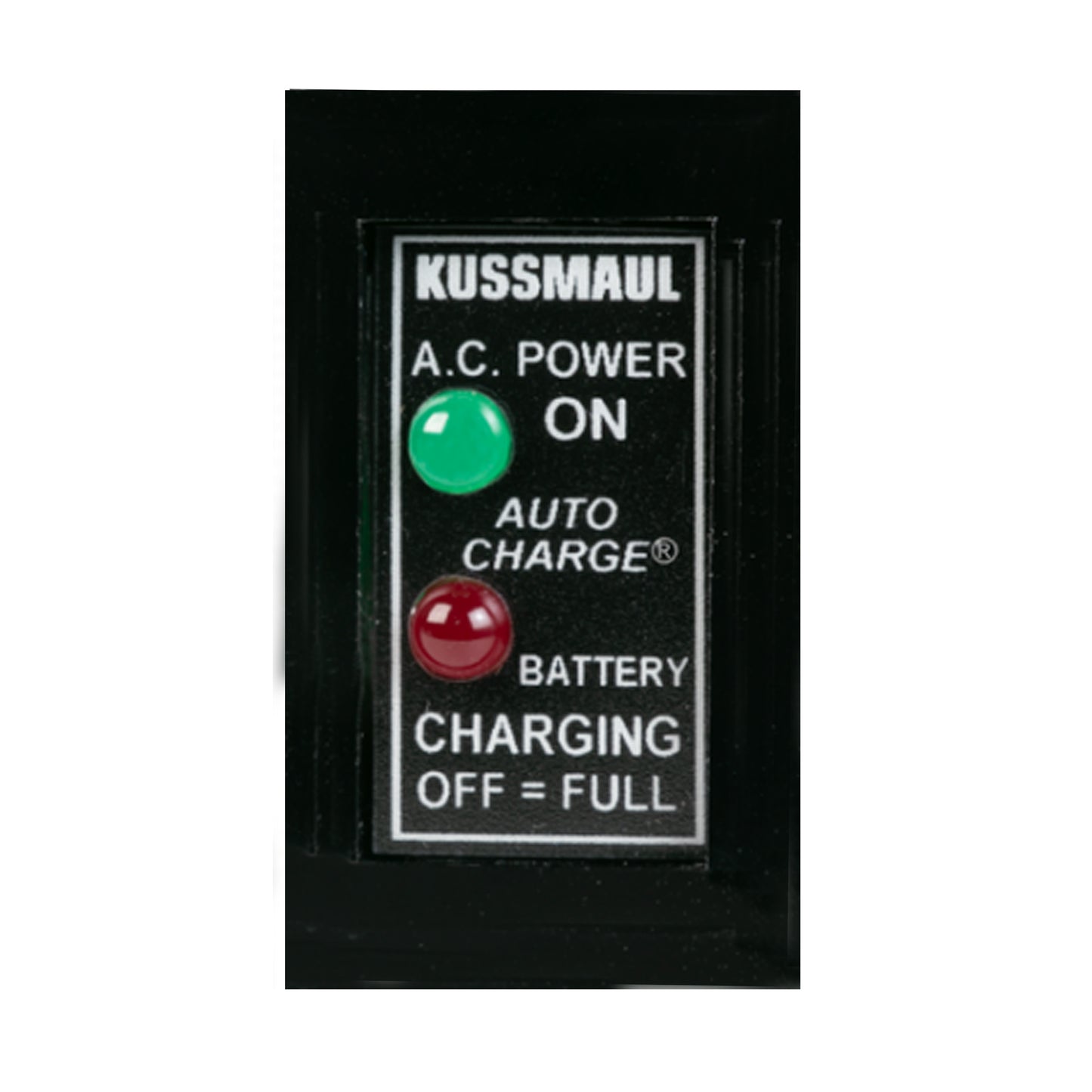 Kussmaul Analog and LED Displays