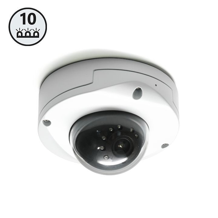 Rear View Safety 2.0MP IP Dome Camera