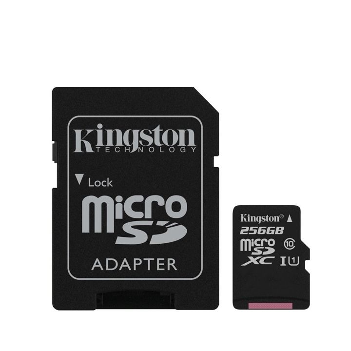 Rear View Safety Kingston Micro SD Card 2